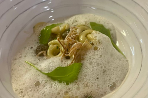 Plat - dim speciale (4)