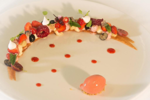 Plat - dim speciale (9)